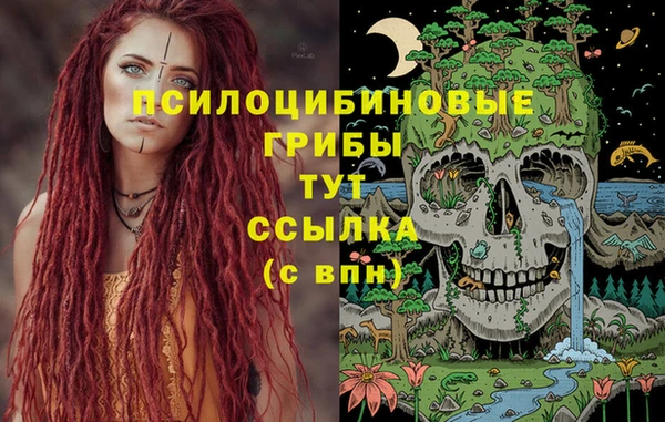 гидра Балахна