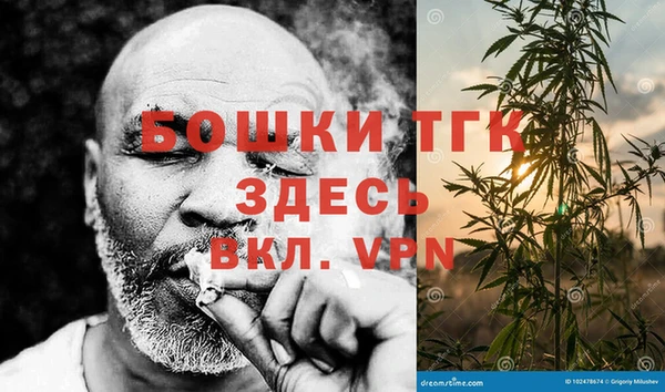 гашик Арсеньев