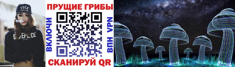Псилоцибиновые грибы Cubensis купить наркотик Ступино